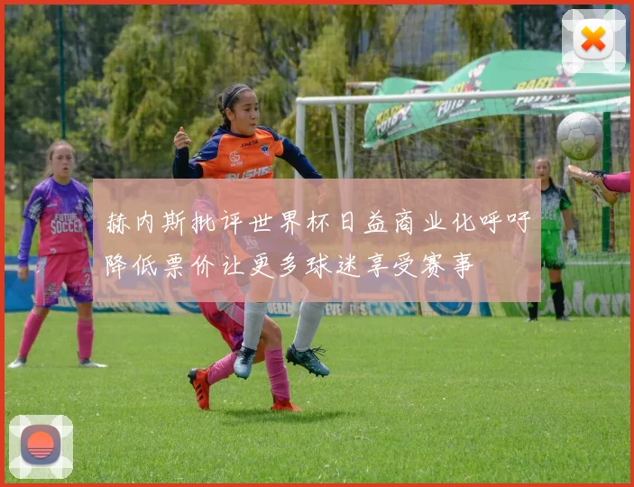 赫内斯批评世界杯日益商业化呼吁降低票价让更多球迷享受赛事