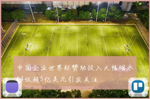 中国企业世界杯赞助投入大幅缩水64仅超5亿美元引发关注